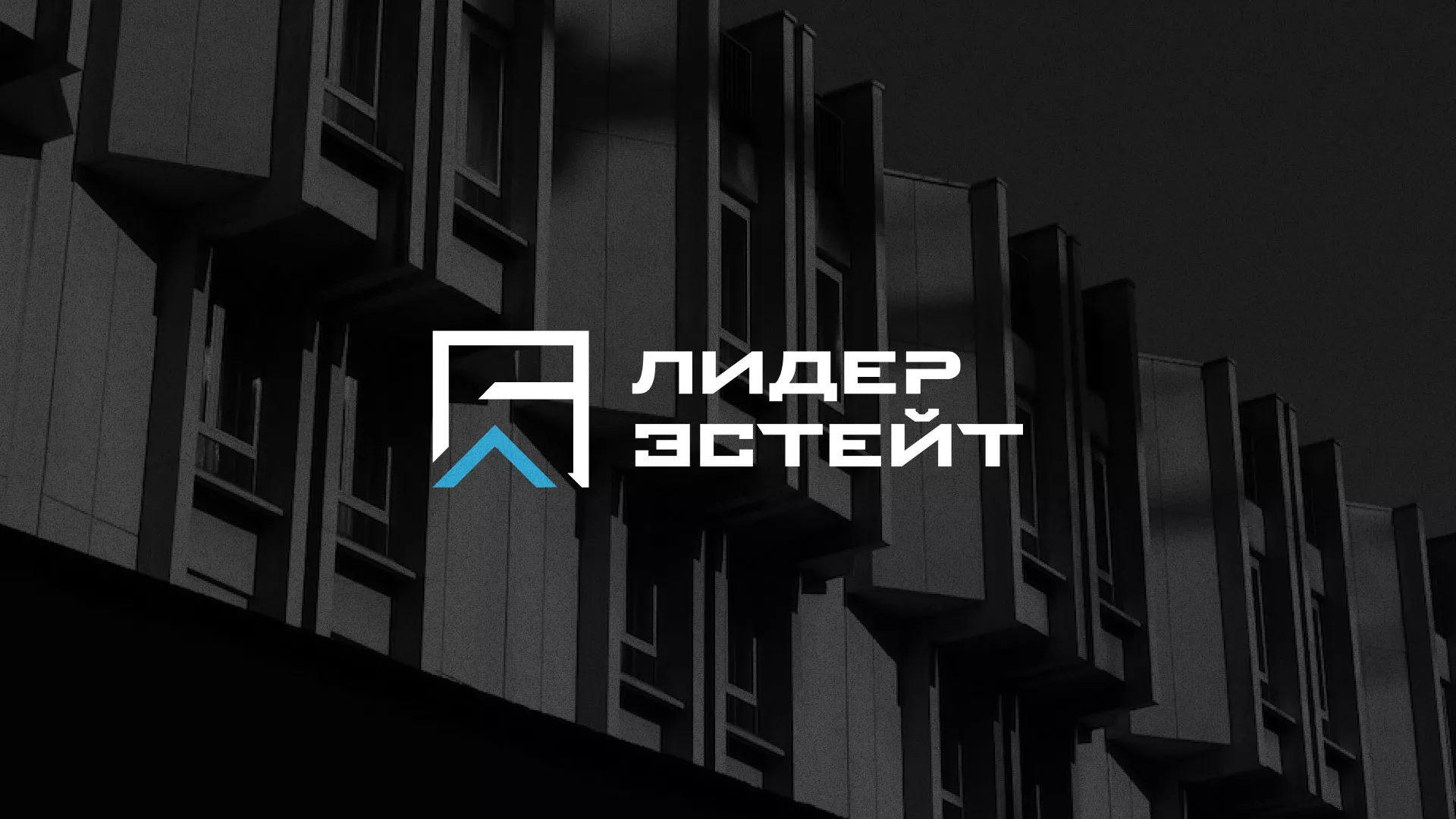 Разработка логотипа агентства недвижимости «Лидер Эстейт» в Наро-Фоминске